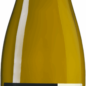 Weingut Michel Riesling Trocken
