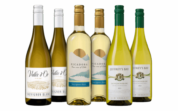 Wijnpakket Sauvignon Blanc