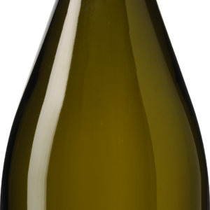 Antica Viti Vino Frizzante