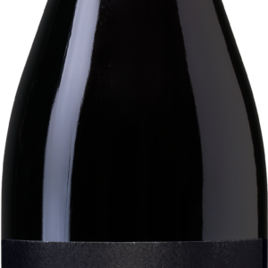 Antica Viti Valpolicella DOC Ripasso