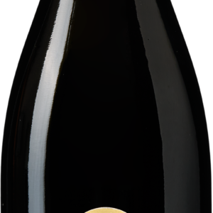 Dominique Morel Julienas