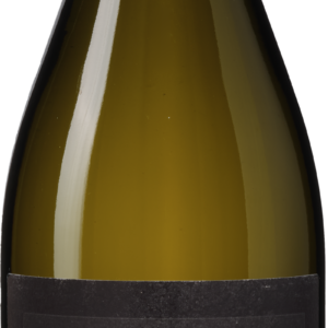 Antica Viti Pinot Grigio delle Venezie