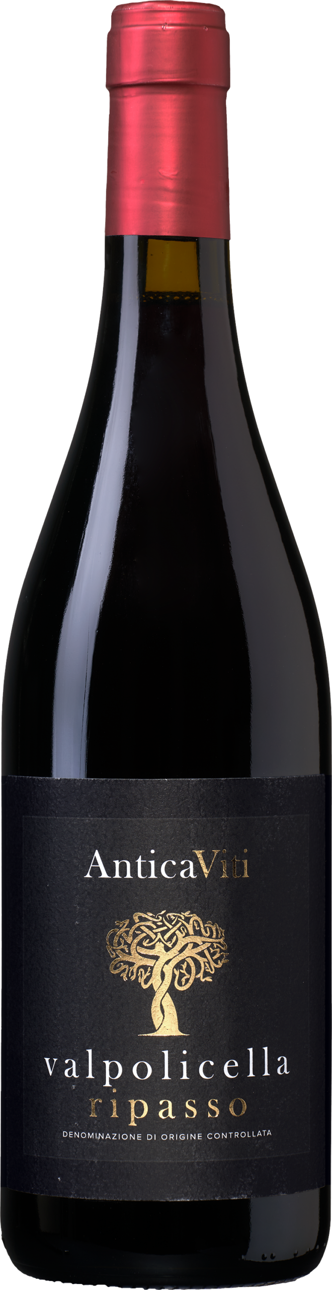 Antica Viti Valpolicella Ripasso 1 Antica Viti Valpolicella Ripasso