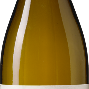 Cibolo Chardonnay