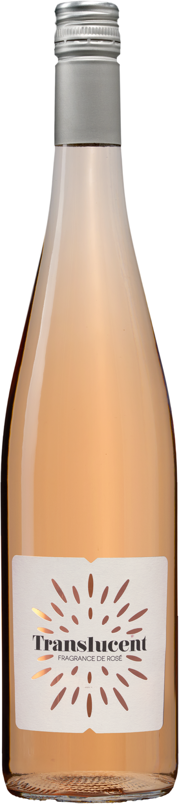 Translucent 'Fragrance' Rosé 1 Translucent 'Fragrance' Rosé